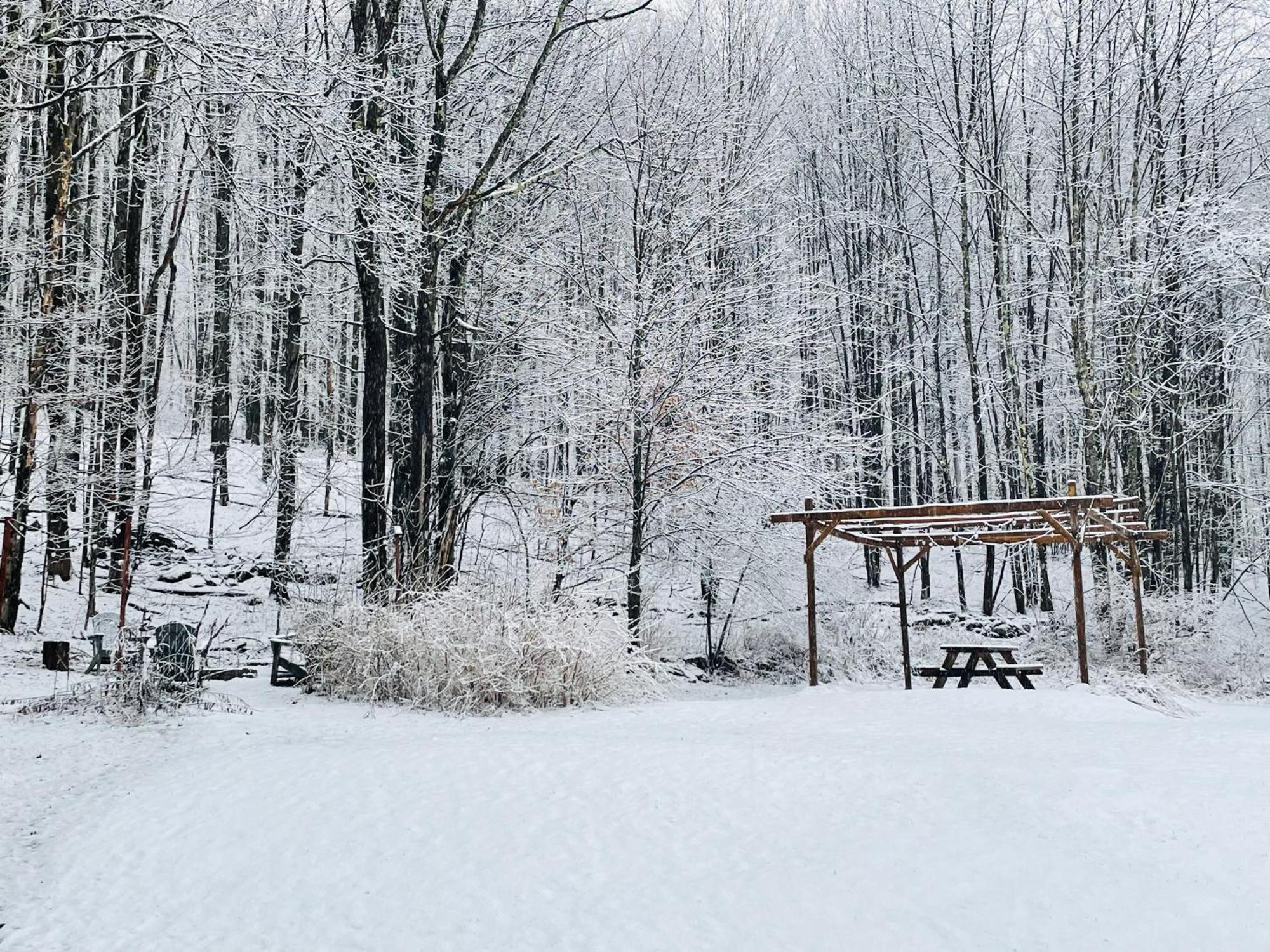 Cozy Cottage With Jacuzzi And Fire Pit And Reading Nook! Livingston Manor Exterior photo